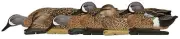 Avian X AVXAVX8080 Topflight Teal Species Multi-Color