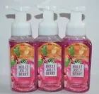 3 BATH & BODY WORKS HOLLY JOLLY BERRY GENTLE FOAMING HAND SOAP WASH RASPBERRY