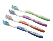 Plak Smacker E-Curve Toothbrush (12 count)