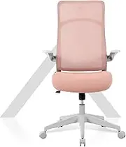 TT Airflex Ergochair Home Office Mesh Chair Executive Ergonomics Chair (Coral Red)