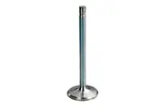 Manley Valve Budget Performance Intake 2.055 in. Head Dia. 0.3415 in. Stem Dia. 4.911 in. Length SBC Each
