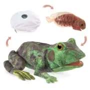 NEW PLUSH SOFT TOY Folkmanis 3115 Frog Life Cycle Tadpole Full Body Hand Puppet