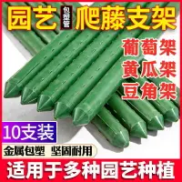 在飛比找樂天市場購物網優惠-爬藤架子葡萄園藝花支柱支撐桿庭院戶外包塑鋼管菜園竹竿搭架網紅