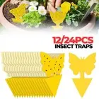 UPTO 24PCS Dual Sided Strong Sticky Trap Insect Killer Fruit Fly Trap Gnat New