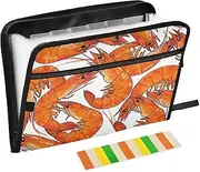 Cute Cartoon Shrimp Expanding Folders 13 Pockets A4 Letter Size Hanging File Folders with Zipper Closure Expandable File Folder Organizer for Office