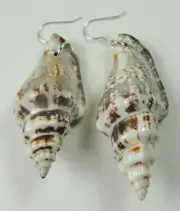 Earrings Statement Shell Handcrafted Statement Beach Wedding