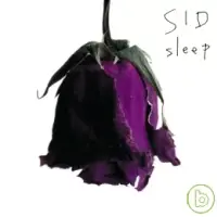 在飛比找博客來優惠-SID / sleep Ver.B (CD+DVD)