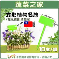 在飛比找momo購物網優惠-【蔬菜之家】方形植物名牌 10支/組(花牌.標籤.標示牌)