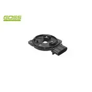 RAE Crankshaft Position Sensor - SC036