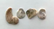 ❤️ Natural Letter Shaped LOVE beach oyster shell fragment word pebble art craft