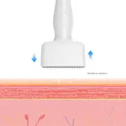 Hair Growth Cross-Dragon One-Time Use Roller Stamp Microneedle Head Hair Growth