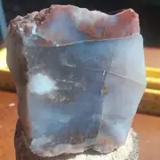 Volcanic Petrified Wood Limb Casting End Cut Blue Grey Quartz Red Mineralization