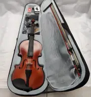 Paititi 4/4 Full Size Artist-100 Student Violin Kit w/ Brazilwood Bow