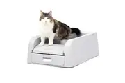 PetSafe ScoopFree Self-Cleaning Cat Litter Box for Clumping Litter - NEW Model