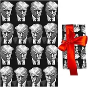 Funny Wrapping Paper | Novelty Wrap Sheets - Colorful Wrapping Paper for Birthday and, Funny Wrapping for Friends and Family for Pouxa