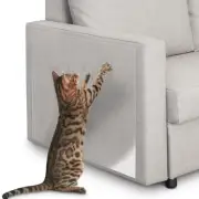 12 Pack Cat Scratch Furniture Protector for Leather Couch Protector from Cat ...