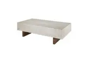 Audino Mother of Pearl Inlay Coffee Table - Grey with Mixed Ivory