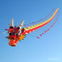 在飛比找蝦皮購物優惠-現貨風箏10/15/20/25/30 龍頭蜈蚣風箏大型軟體眼