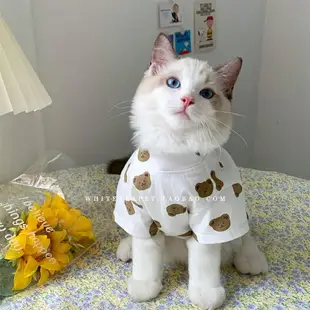 韓國ins貓咪衣服夏季薄款防掉毛布偶小奶貓可愛寵物狗狗貓貓衣服