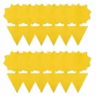 50x Dual Sided Sticky Trap Insect Killer Fruit Fly Whitefly Trap Gnat