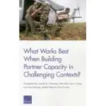 WHAT WORKS BEST WHEN BUILDING PARTNER CAPACITY IN CHALLENGING CONTEXTS?