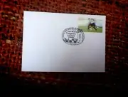 2010 FRANKFURT WORLD CUP SOCCER VS SPAIN POSTMARK 11.7.2010
