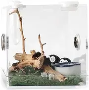 Reptile Breeding Box - Transparent Insectt Feeding Boxes | Insectt Feeding Case Climbing Pet Terrarium Tank Clear minii Crawling Pet Viewing Box for Spider, Lizard, Scorpion, Tarantulas, Geckos