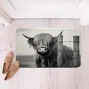 Loussiesd Highland Cow Bath Mats for Bathroom 20x32Inch Kids Highland Cattle Bathroom Rugs Cute Wild Animal Western Decor Btah Rugs for Shower Tub for Room Decor Grey Bathroom Accossories