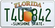 2 Fast 2 Furious | T4U 842 | Metal Stamped License Plate