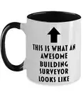 This is What an Awesome Building Surveyor, Funny, Cheap, Inappropriate, Gift for