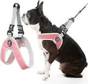 Gooby - Simple Step-in Harness III, Small Dog Harness Scratch Resistant Breathable Mesh, Pink, Medium