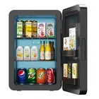 22l Mini Fridge Cooler Warmer Drinks Bar Fridge Car Makeup Ice Cosmetic Portable