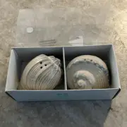 Sea Shell Salt & Pepper Shakers
