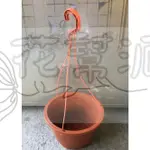 花幫派_園藝資材--吊盆-( 6吋 7吋吊盆 )---塑膠花盆~歐洲盆/吊掛式植物適合使用/含吊鉤