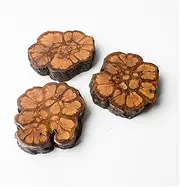 CVBFDB Coaster Plum Vine Old Vine Coaster Tea Mat Pot Mat Saucer Cup Holder Thermal Mat Mat Tea Ceremony