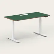 Recess Standing Desk | Sit-Stand Desk | Ergonomic Office Furniture, Small - 120W x 70D x 70-130H (cm) / Forest / White