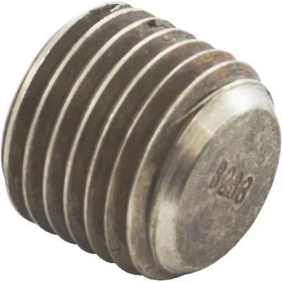 Header Plug, Raypak, 55B