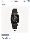 Citizen Eco-Drive Paradigm