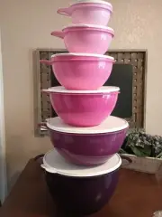 Tupperware Thatsa Bowl Set 6-Piece Pink Purple 2.5c 6c 12c 19c 32c 42c