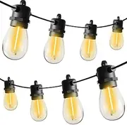 Roshin 15M Festoon Lights Outdoor, 15 Bulbs +1 Spares LED Fairy String Lights Outdoor, IP65 Waterproof and Shatterproof for Christmas, Garden, Party, Camping (S14)