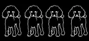 Mini Poodle - 4 Pack 4" White Vinyl Graphic Decal Car Windows Laptop Notebook
