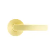 Ikonic Brushed Brass San Fran Dummy Lever
