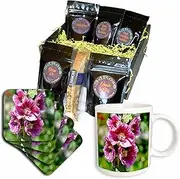 3dRose cgb_59986_1 Beautiful Romantic Inspired Garden Pink Hollyhock Flowers-Coffee Gift Basket, Multicolor