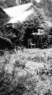 Noojee Victoria 1935 A workman 's cottage Australia OLD PHOTO