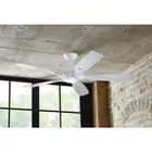 HDC Petersford 52 in. Integrated LED Ceiling Fan with Light Kit and Remote