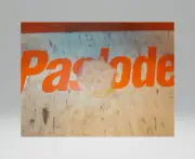 PASLODE 500744 STOP PISTON (NSP-120-P275C)