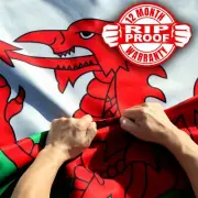 Anley Rip-Proof Double Sided 3-Ply Wales Flag 3x5 Ft Welsh National Flag 3X5 Ft