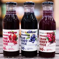 在飛比找蝦皮購物優惠-[綠工坊]  有機藍莓汁  有機石榴汁 純蔓越莓汁 100%