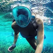 Full Face Snorkel Mask with Optional HD 1080P Action Sports Camera -Option: Mask Only, Mask Color: Pink