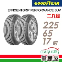 在飛比找momo購物網優惠-【GOODYEAR 固特異】EFFICIENTGRIP PE